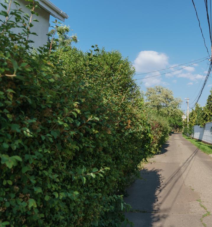 Authentic Odessa Dacha Villa ภายนอก รูปภาพ