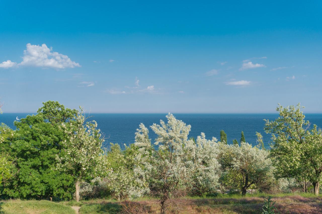 Authentic Odessa Dacha Villa ภายนอก รูปภาพ